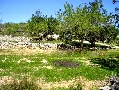 Finca en Cervera