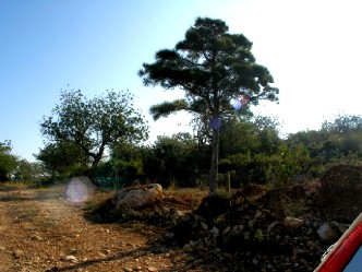 2720_10.jpg