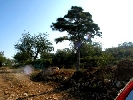 Finca Krenz