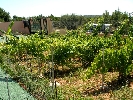 House in Sant Jordi