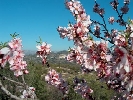 Finca Los Olivos 1