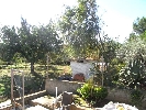 Image 30