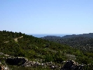Propriété Rurale en Cervera