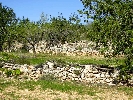 Propriété Rurale en Cervera