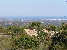 Propriété Rurale en Cervera