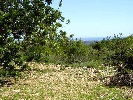 Propriété Rurale en Cervera