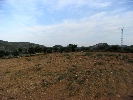 Propriété Rurale en Cervera