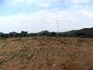 Propriété Rurale en Cervera