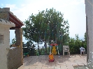 Image 23