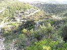 Propriété Rurale en Cervera