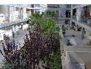 Apartment in Benicarló