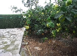 Casa en Peñiscola